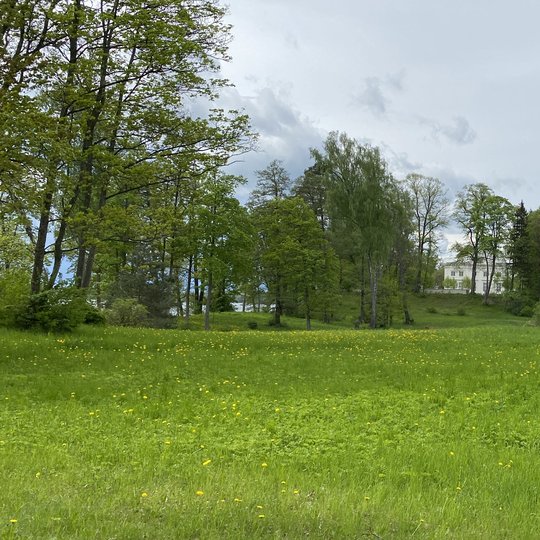 Iliustracija