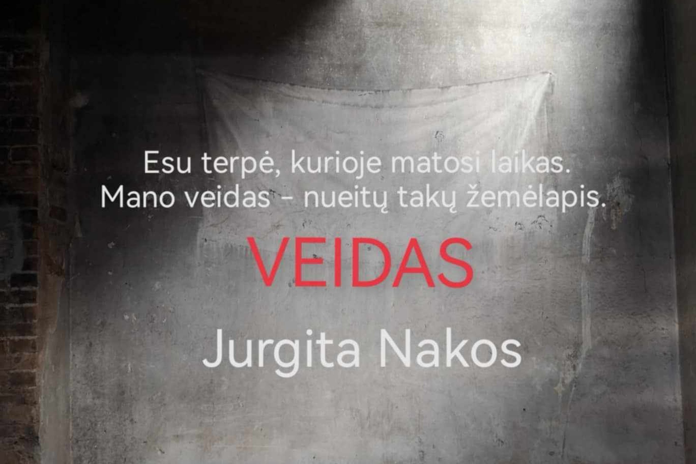 Iliustracija
